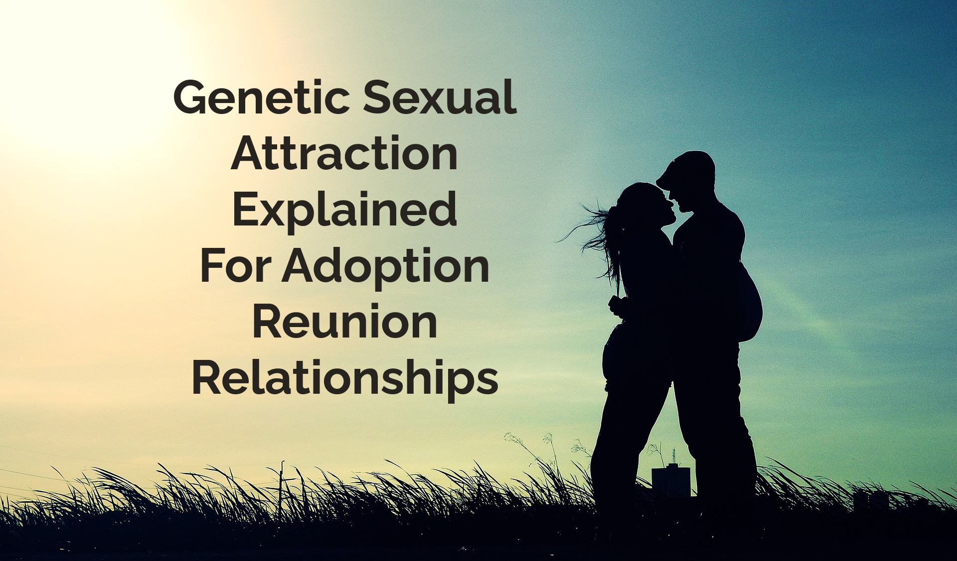Genetic Sexual Attraction In Adoption Reunion Relationships picture image