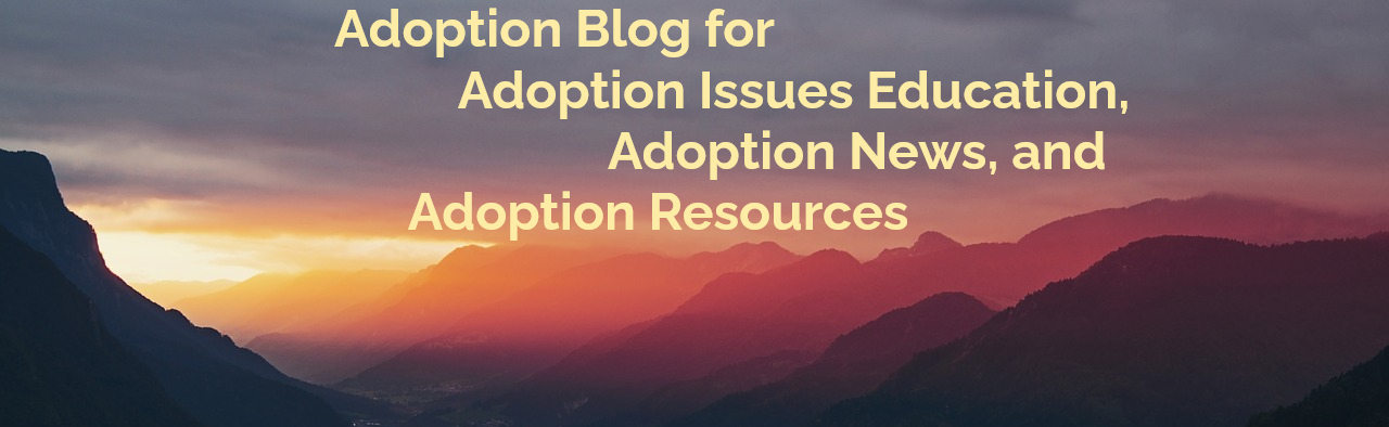 adoption blog