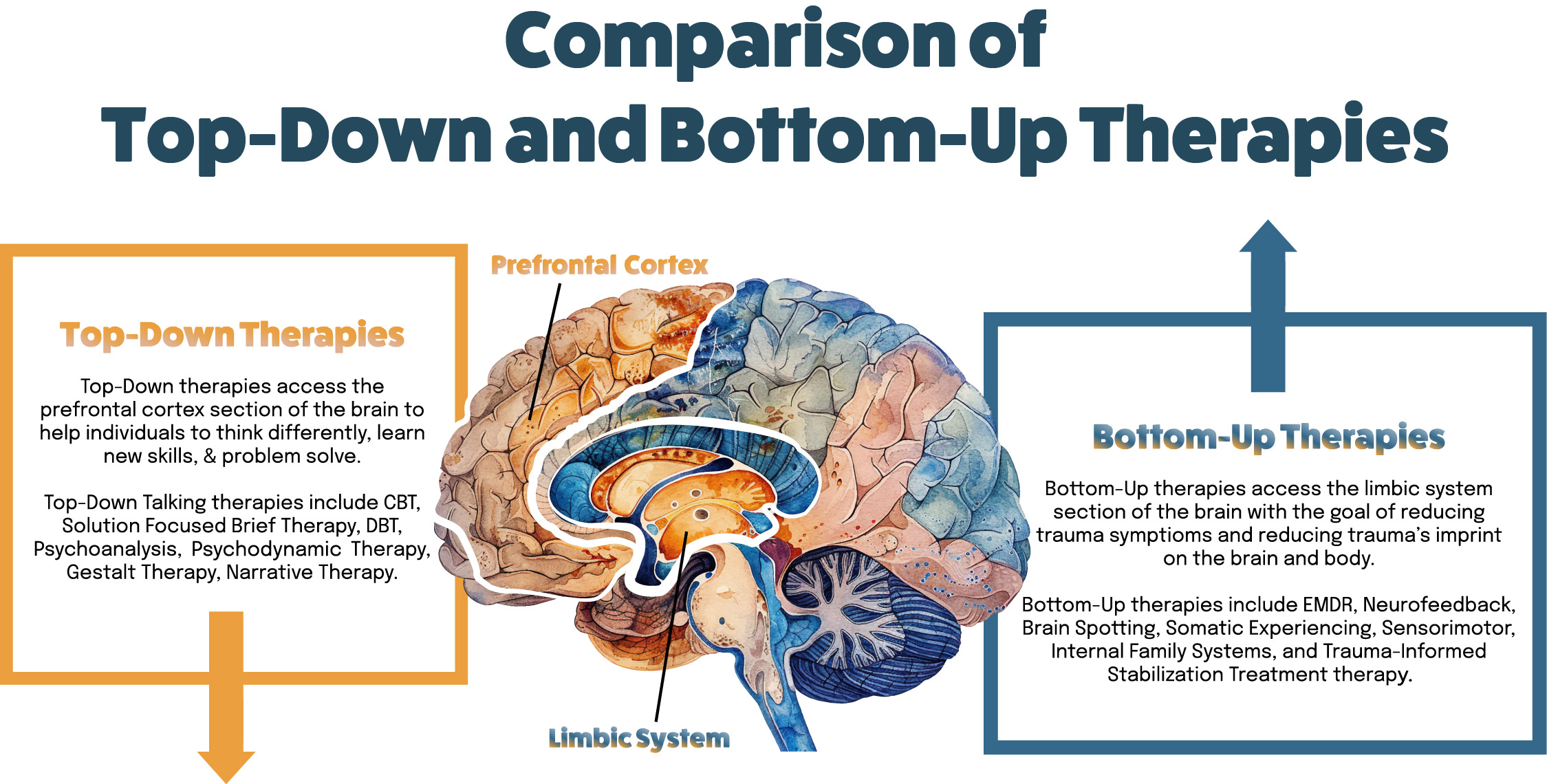 Comparison of Top-Down and Bottom-Up Therapies