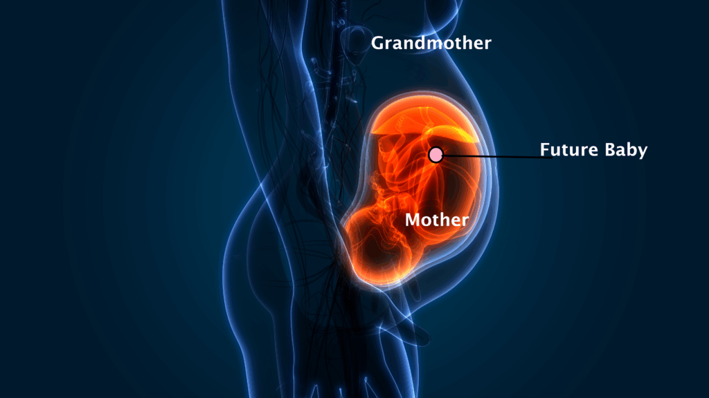 epigentics pregnancy epigenetics