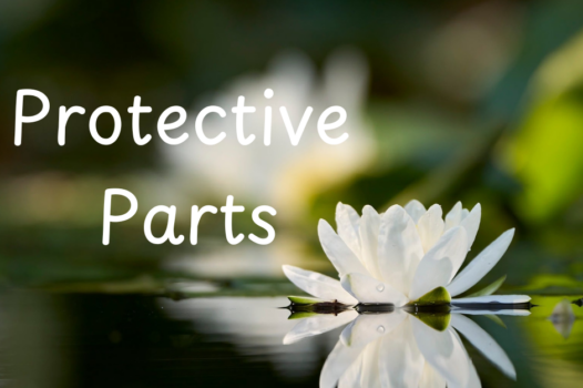 Protective Parts